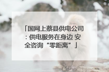 国网上蔡县供电公司：供电服务在身边 安全咨询“零距离”