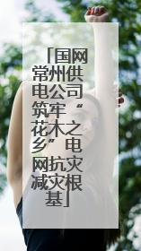 国网常州供电公司筑牢“花木之乡”电网抗灾减灾根基