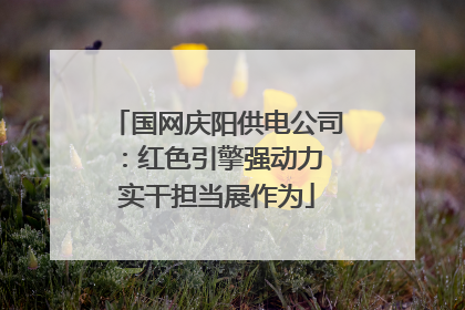 国网庆阳供电公司：红色引擎强动力 实干担当展作为