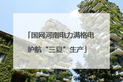 国网河南电力满格电护航“三夏”生产