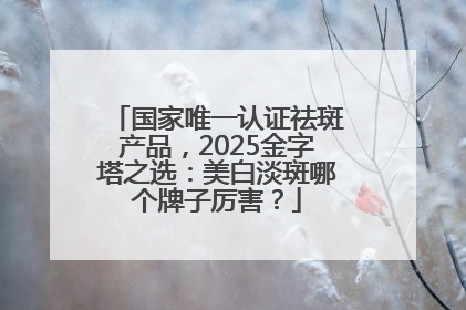 国家唯一认证祛斑产品，2025金字塔之选：美白淡斑哪个牌子厉害？