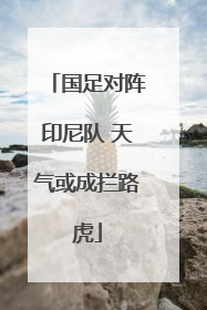 国足对阵印尼队 天气或成拦路虎