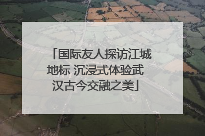 国际友人探访江城地标 沉浸式体验武汉古今交融之美
