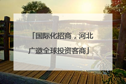 国际化招商，河北广邀全球投资客商