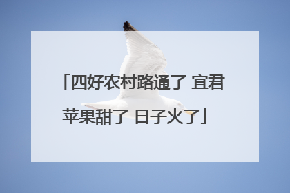 四好农村路通了 宜君苹果甜了 日子火了