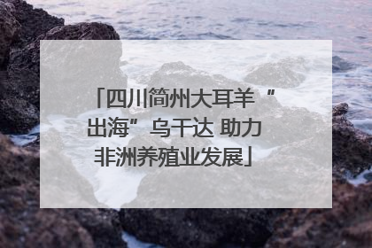 四川简州大耳羊“出海”乌干达 助力非洲养殖业发展
