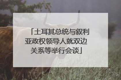 土耳其总统与叙利亚政权领导人就双边关系等举行会谈