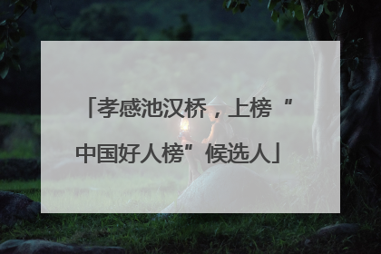 孝感池汉桥，上榜“中国好人榜”候选人