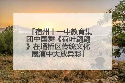 宿州十一中教育集团中国舞《荷叶翩翩》在埇桥区传统文化展演中大放异彩