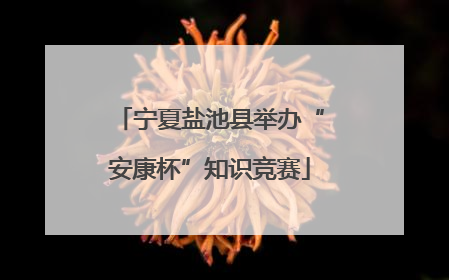 宁夏盐池县举办“安康杯”知识竞赛