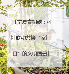 宁夏青铜峡：村社联动共绘“家门口”的文明图景