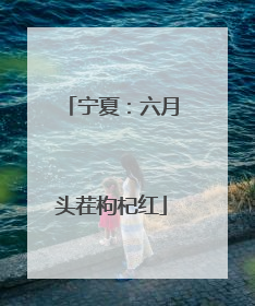 宁夏：六月头茬枸杞红