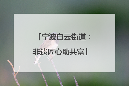 宁波白云街道：非遗匠心助共富