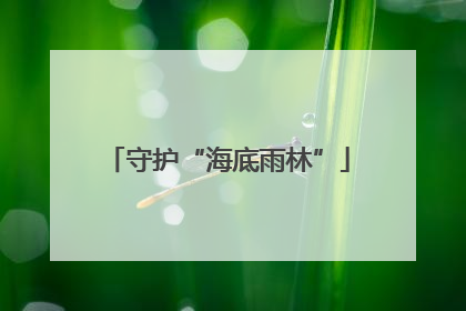 守护“海底雨林”