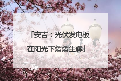 安吉：光伏发电板在阳光下熠熠生辉