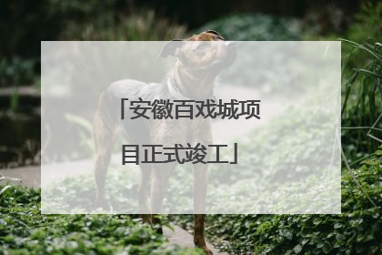 安徽百戏城项目正式竣工