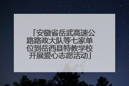 安徽省岳武高速公路路政大队等七家单位到岳西县特教学校开展爱心志愿活动