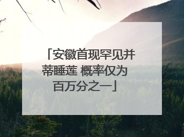 安徽首现罕见并蒂睡莲 概率仅为百万分之一
