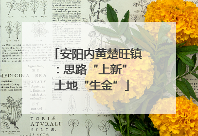 安阳内黄楚旺镇：思路“上新” 土地“生金”