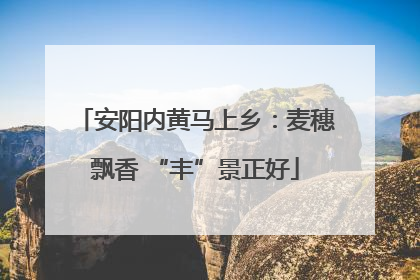 安阳内黄马上乡：麦穗飘香 “丰”景正好