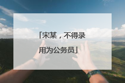 宋某，不得录用为公务员