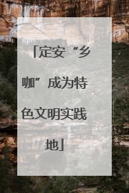 定安“乡咖”成为特色文明实践地