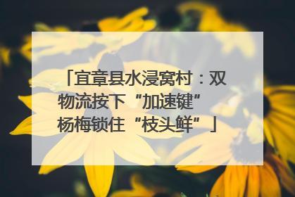 宜章县水浸窝村：双物流按下“加速键” 杨梅锁住“枝头鲜”