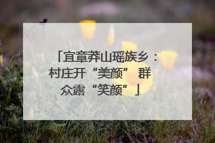 宜章莽山瑶族乡：村庄开“美颜” 群众露“笑颜”