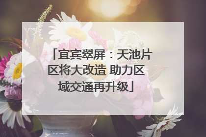 宜宾翠屏：天池片区将大改造 助力区域交通再升级