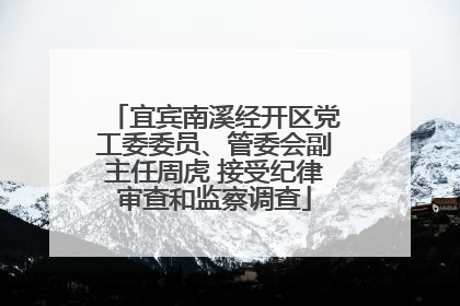 宜宾南溪经开区党工委委员、管委会副主任周虎 接受纪律审查和监察调查