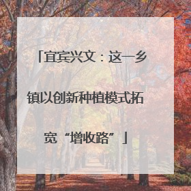 宜宾兴文：这一乡镇以创新种植模式拓宽“增收路”