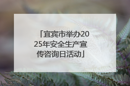 宜宾市举办2025年安全生产宣传咨询日活动