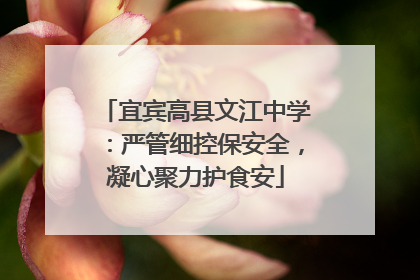 宜宾高县文江中学：严管细控保安全，凝心聚力护食安