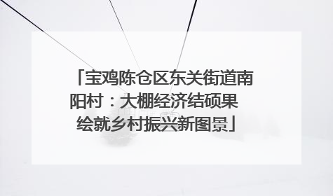 宝鸡陈仓区东关街道南阳村：大棚经济结硕果 绘就乡村振兴新图景