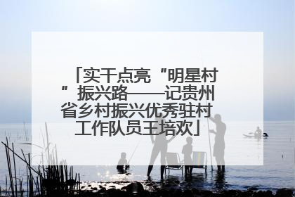 实干点亮“明星村”振兴路——记贵州省乡村振兴优秀驻村工作队员王培欢