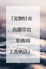 宠物针灸、直播带货……职教周上秀绝活