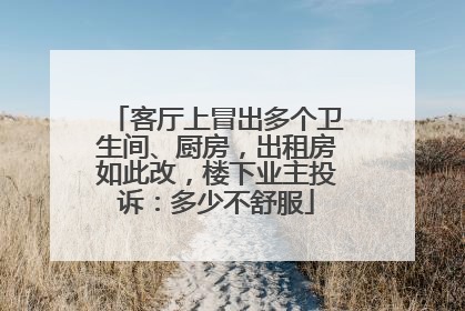 客厅上冒出多个卫生间、厨房，出租房如此改，楼下业主投诉：多少不舒服