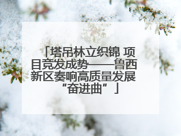 塔吊林立织锦 项目竞发成势——鲁西新区奏响高质量发展“奋进曲”