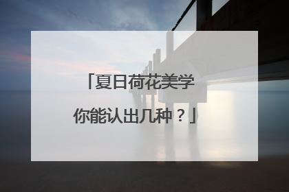 夏日荷花美学 你能认出几种？