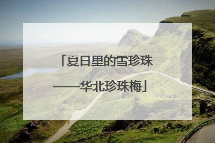 夏日里的雪珍珠——华北珍珠梅