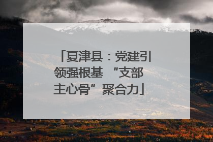 夏津县：党建引领强根基 “支部主心骨”聚合力