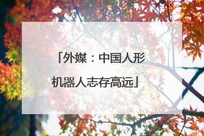 外媒：中国人形机器人志存高远