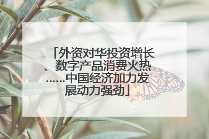 外资对华投资增长、数字产品消费火热……中国经济加力发展动力强劲