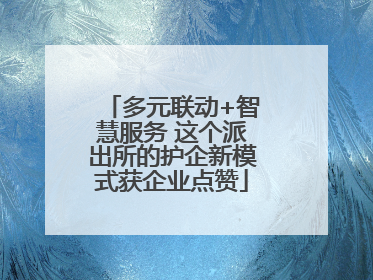 多元联动+智慧服务 这个派出所的护企新模式获企业点赞