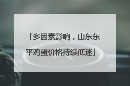 多因素影响，山东东平鸡蛋价格持续低迷