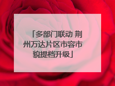 多部门联动 荆州万达片区市容市貌提档升级