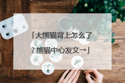 大熊猫背上怎么了？熊猫中心发文→
