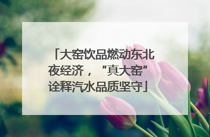 大窑饮品燃动东北夜经济，“真大窑”诠释汽水品质坚守