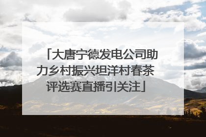 大唐宁德发电公司助力乡村振兴坦洋村春茶评选赛直播引关注