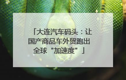 大连汽车码头：让国产商品车外贸跑出全球“加速度”